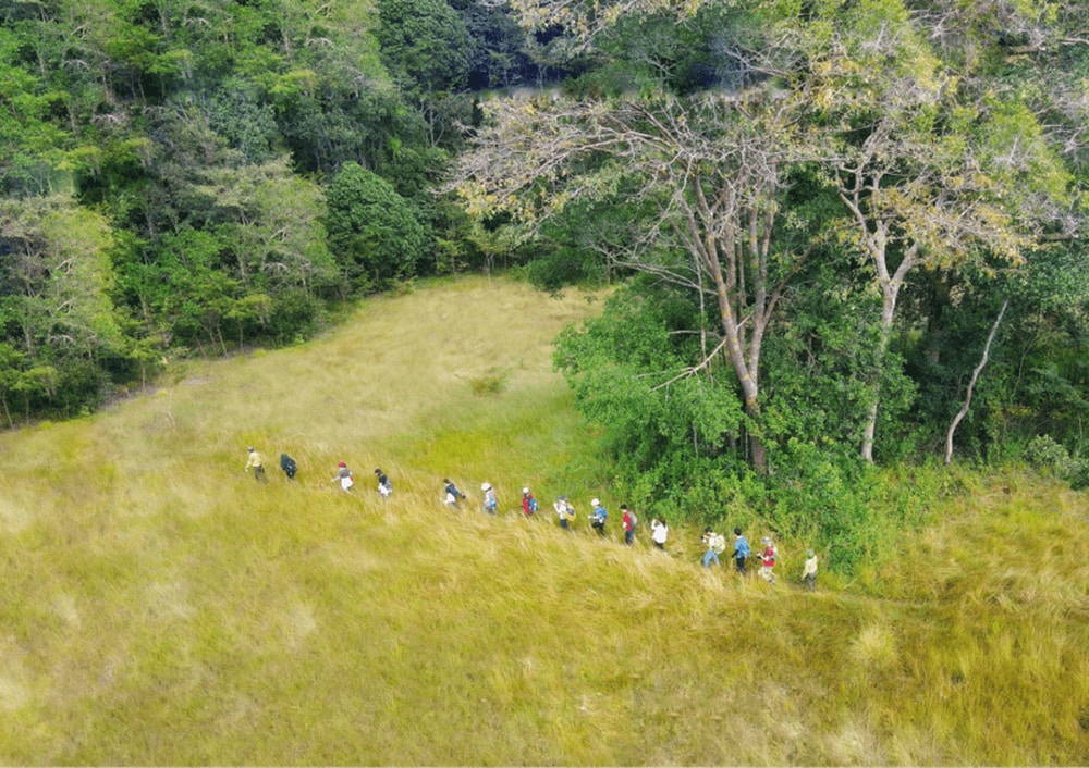 Trekking xuyên rừng